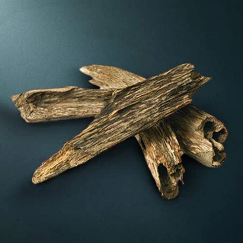 Agarwood