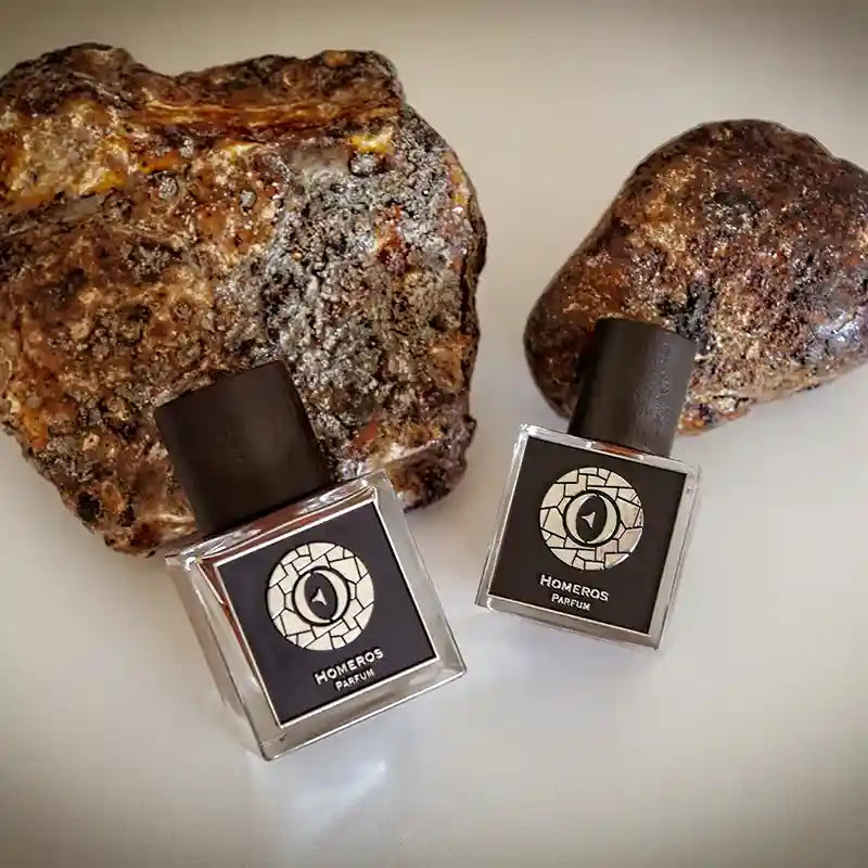 Ensar Oud Homeros SQ Parfum 30ML