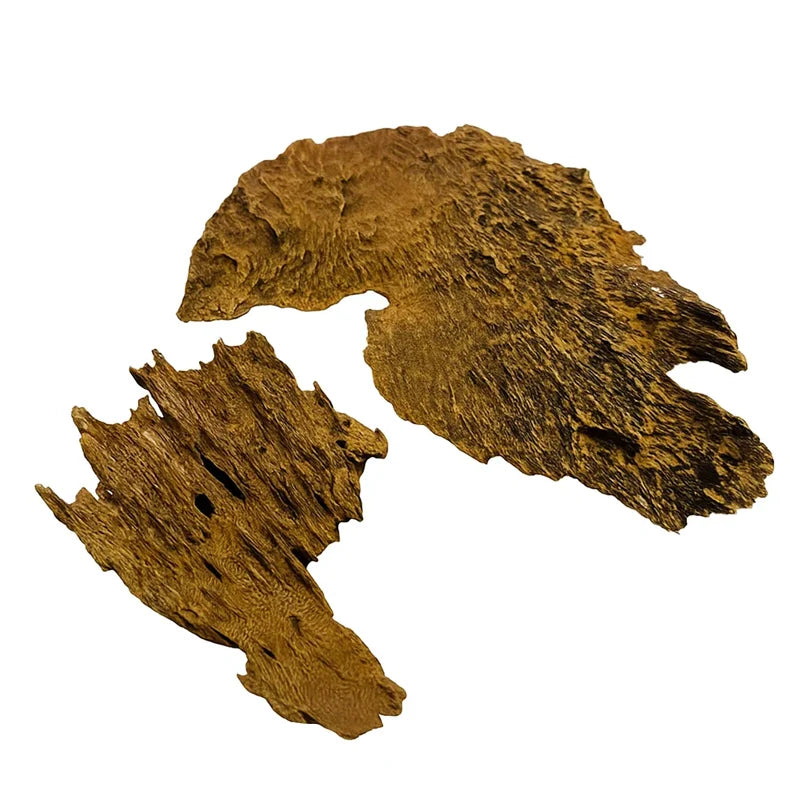 Oud Tawau Sabah AA3 12GM