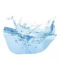 Aquatic