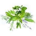 Aromatic