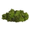 Mossy