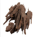 Oud
