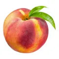 Peach
