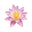 American Lotus