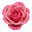 Azerbaijan Rose (1972)
