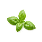 Basil