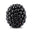 Blackberry