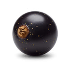 Blackcurrant