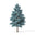 Blue Cypress
