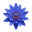 Blue Lotus