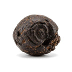 Borneo Oud