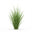 Bourbon Vetiver