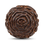Burmese Kyara Oud