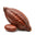 Cacao