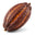 Cacao Pod