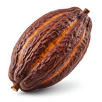 Cacao Pod