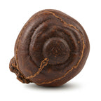 Cambodian Oud