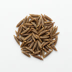 Caraway