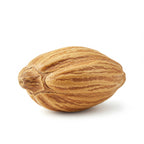 Cedar