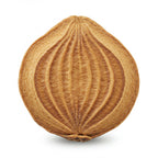 Cedar Heart