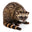 Civet