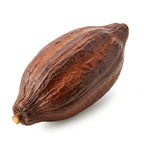 Cocoa