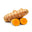 Curcuma Turmeric