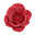 Damask Rose