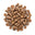 Dry Woods