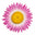 Everlasting Flower