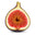 Fig