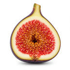 Fig