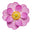 Floral Notes