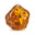 Fossilised Amber