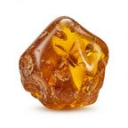 Fossilised Amber