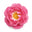 Gallic Rose