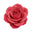 Georgian Rose