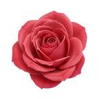 Georgian Rose