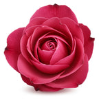 Georgian Rose Otto