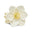 grandiflorum jasmine