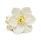 grandiflorum jasmine