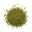 Green Notes