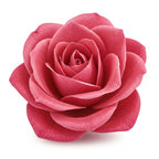 Himalayan Rose