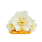 Honeyed Jasmine