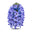 Hyacinth