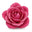 Indian Rose