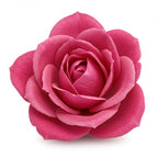 Indian Rose
