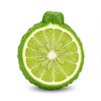 Italian Bergamot