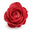 Japanese Rose Absolute